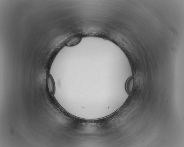 X0000111430448200908101119