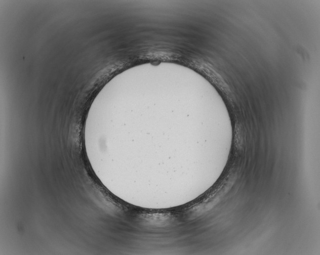 X0000111430449200908101119
