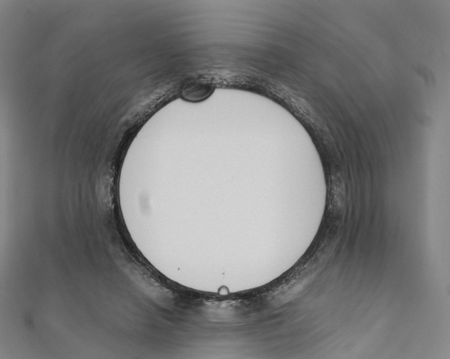X0000111430450200908101119