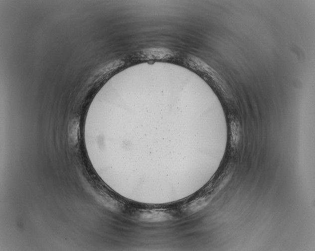 X0000111430451200908101119