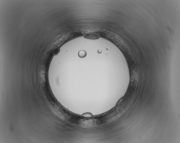X0000111430452200908101119