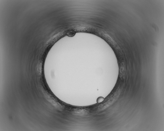 X0000111430454200908101119