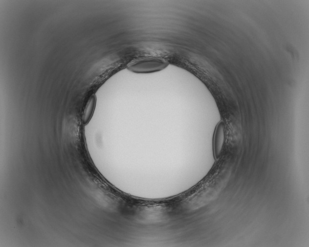 X0000111430456200908101119