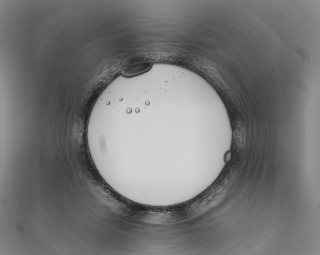X0000111430458200908101119
