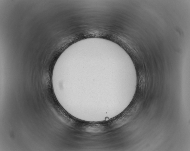 X0000111430459200908101119