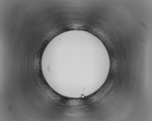 X0000111430461200908101119