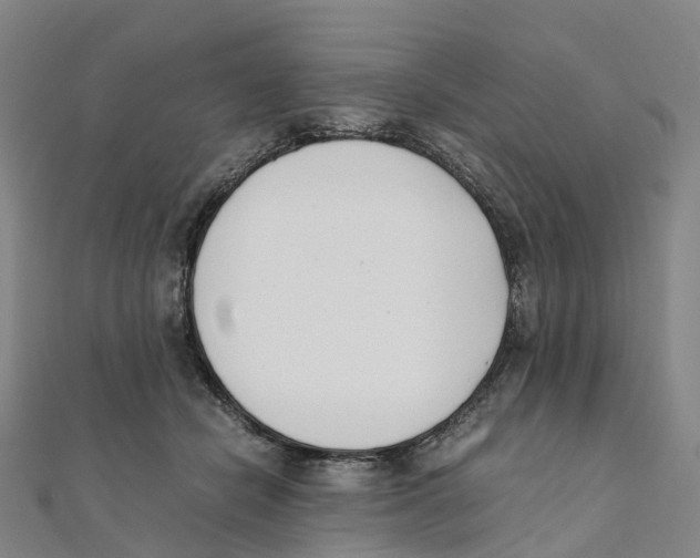 X0000111430462200908101119