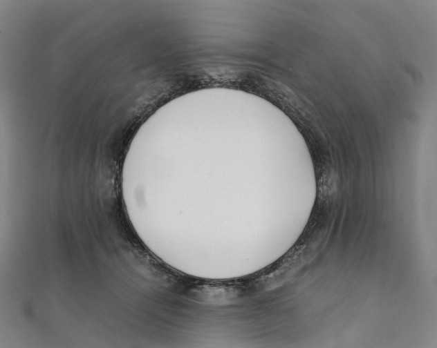 X0000111430464200908101119