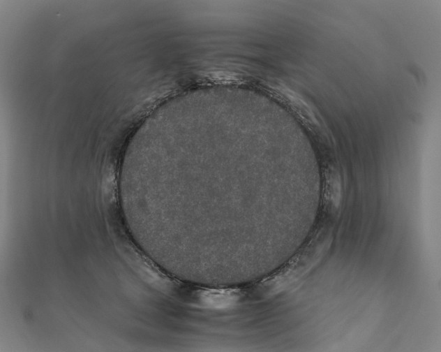 X0000111430465200908101119
