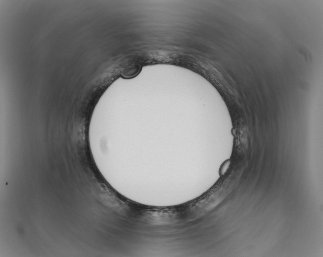 X0000111430466200908101119