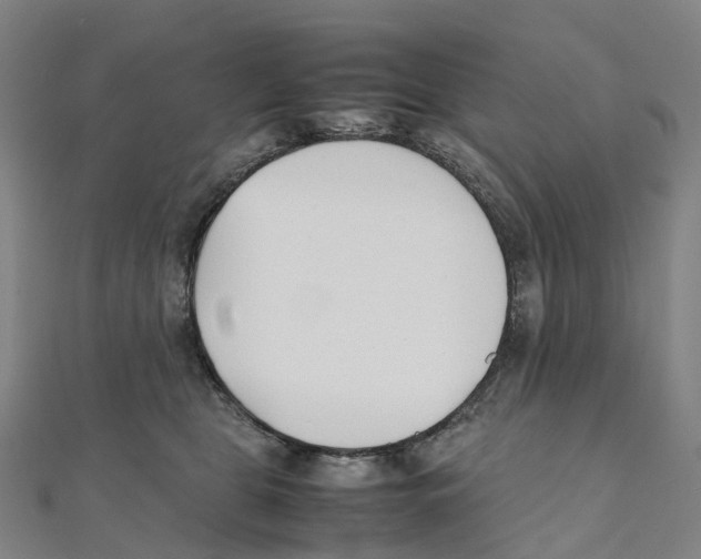 X0000111430469200908101119