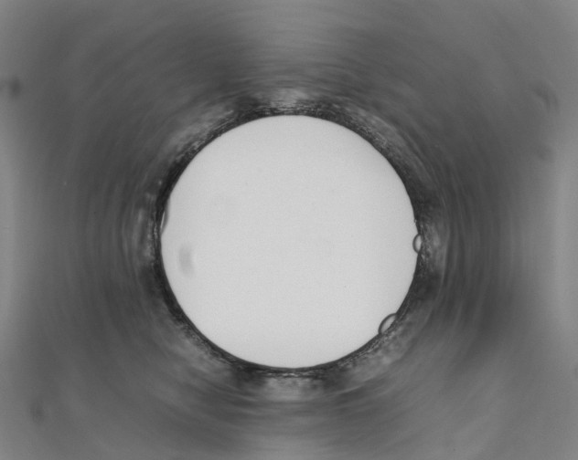 X0000111430470200908101119