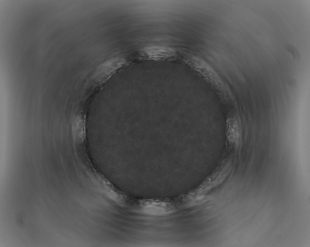 X0000111430471200908101119