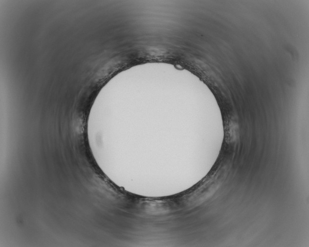 X0000111430472200908101120