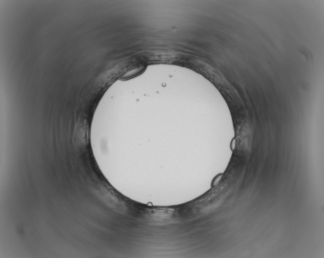 X0000111430474200908101120