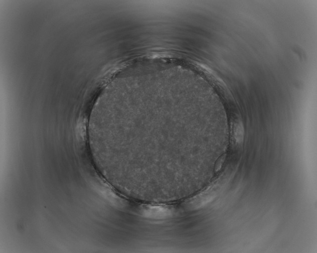 X0000111430475200908101120