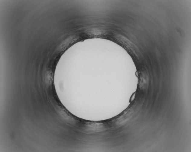 X0000111430476200908101120