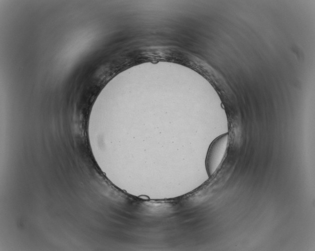 X0000111430477200908101120