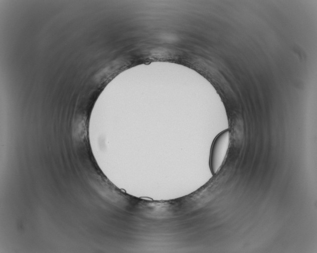 X0000111430478200908101120