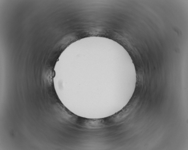 X0000111430479200908101120