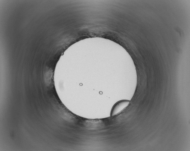 X0000111430480200908101120