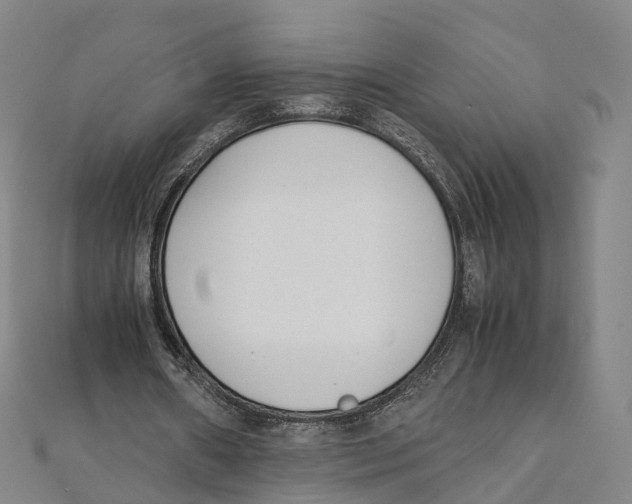 X0000111430482200908101119