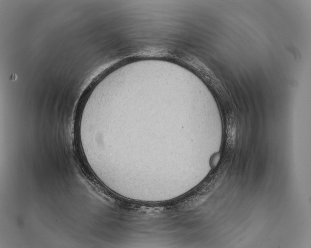 X0000111430484200908101119