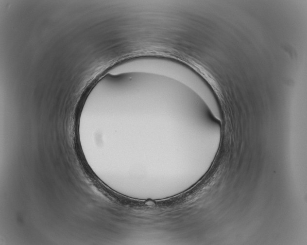 X0000111430485200908101119