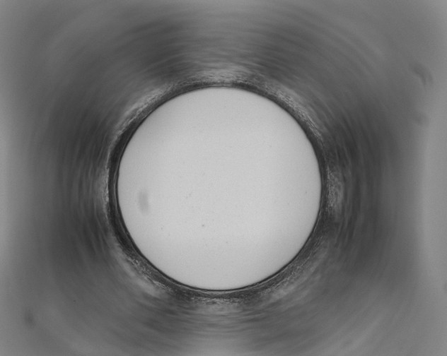 X0000111430486200908101119