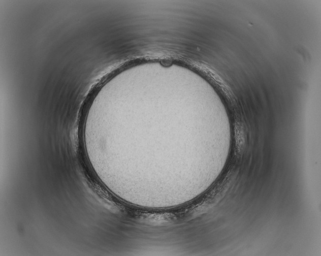 X0000111430488200908101119