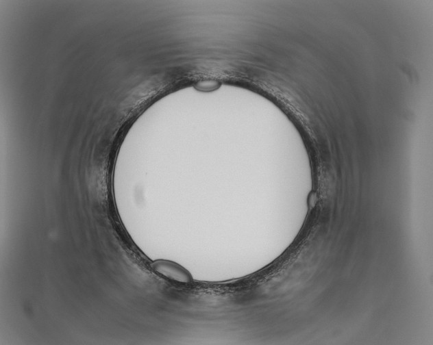 X0000111430489200908101119