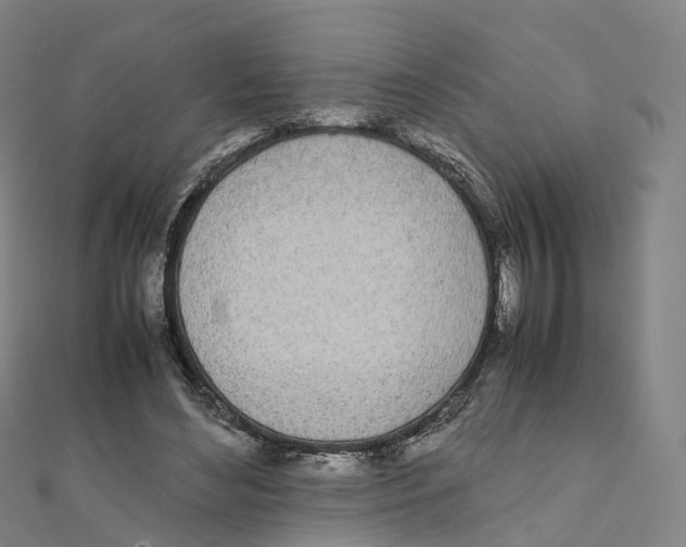 X0000111430492200908101119
