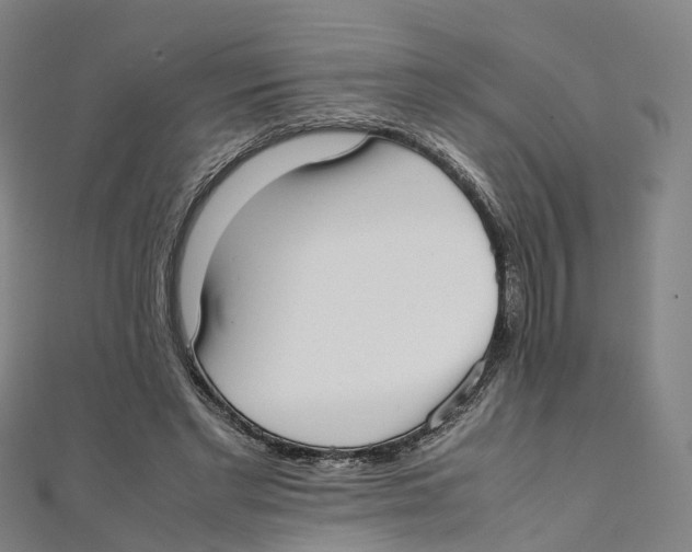 X0000111430493200908101119