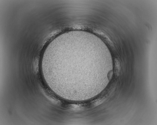 X0000111430496200908101119