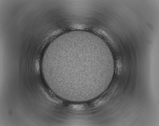 X0000111430500200908101119