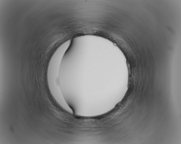 X0000111430501200908101119