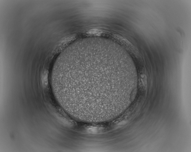 X0000111430504200908101119