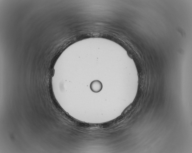 X0000111430505200908101119