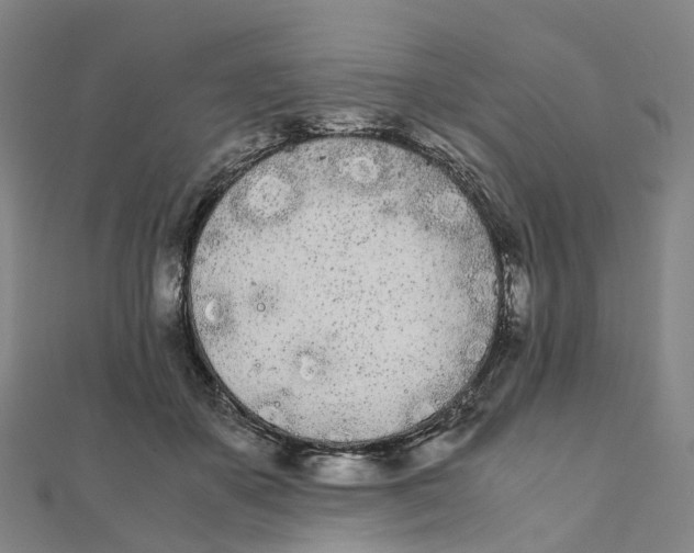X0000111430507200908101119