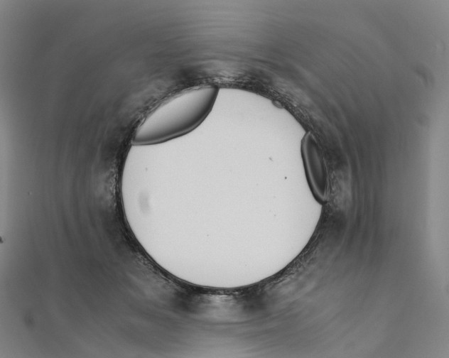 X0000111430509200908101119