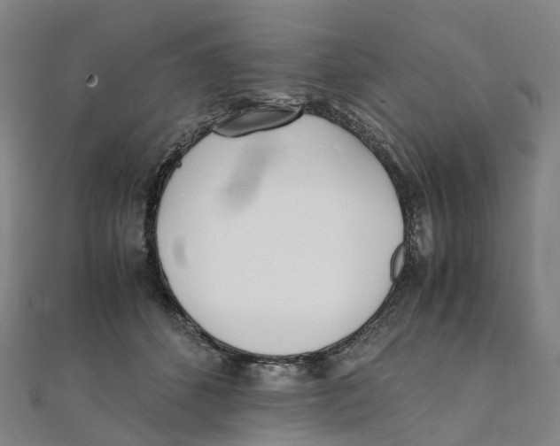 X0000111430512200908101119