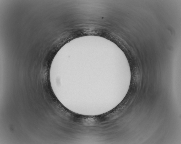 X0000111430513200908101119