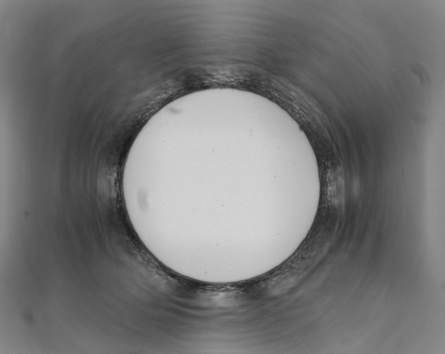 X0000111430514200908101119