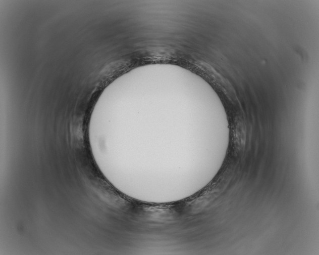 X0000111430516200908101119