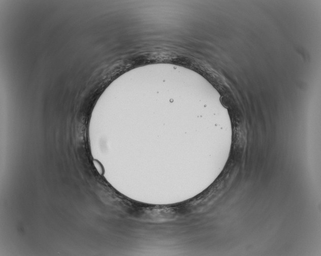 X0000111430517200908101119