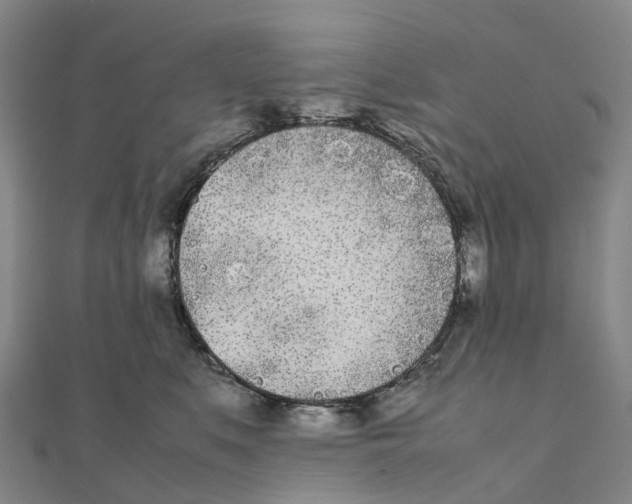 X0000111430519200908101119