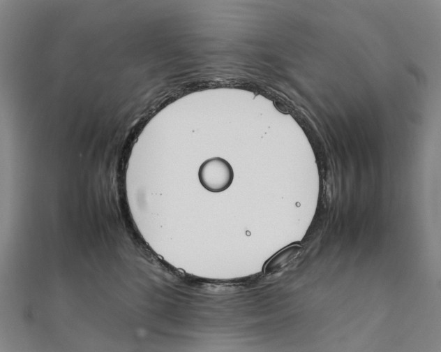 X0000111430520200908101118