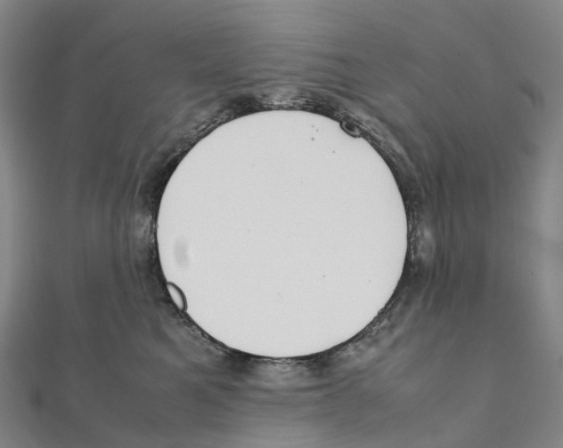 X0000111430521200908101118