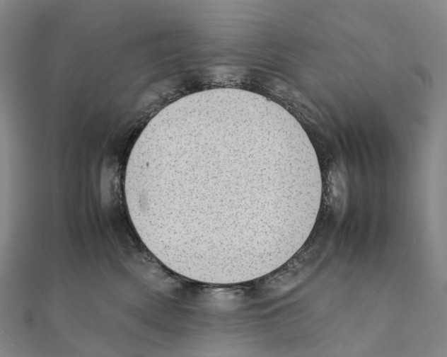 X0000111430522200908101118