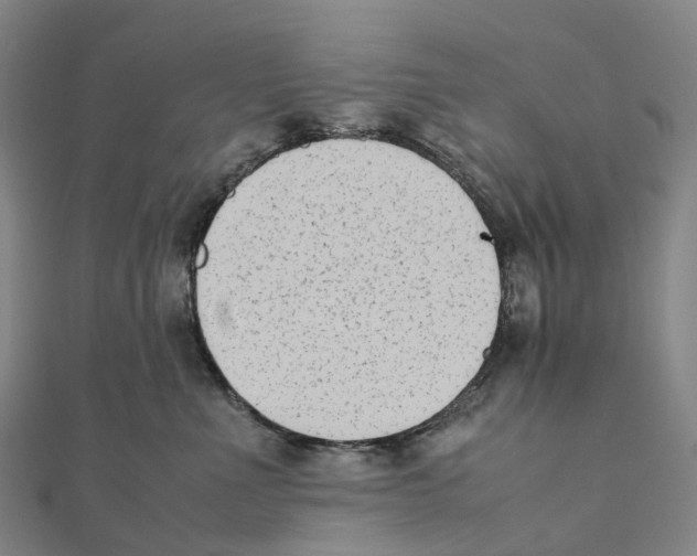 X0000111430523200908101118